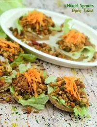 Sprouts on Thanksgiving: Opening Status and Hours Data