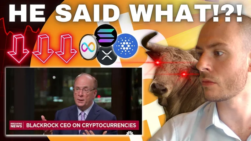 BlackRock's $400M Bitcoin: The True Liquidity Risk. (Reddit.exe crashed)