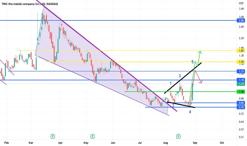 TMC Stock: What's Igniting the Surge, and Why Reddit's Buzzing